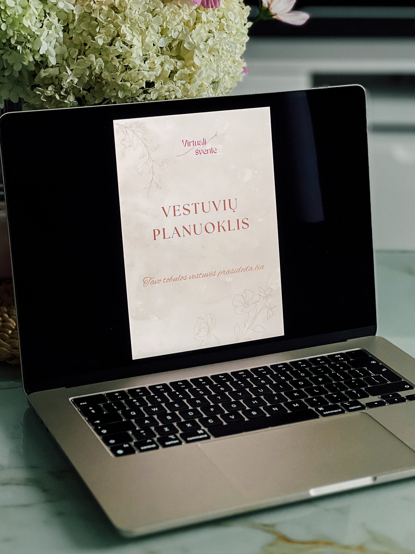 VESTUVIŲ PLANUOKLIS